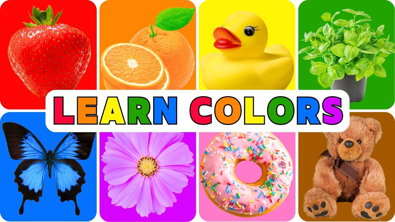 Learn Colors for Kids | Fun and Easy Color Song | Red, Blue, Yellow & More
