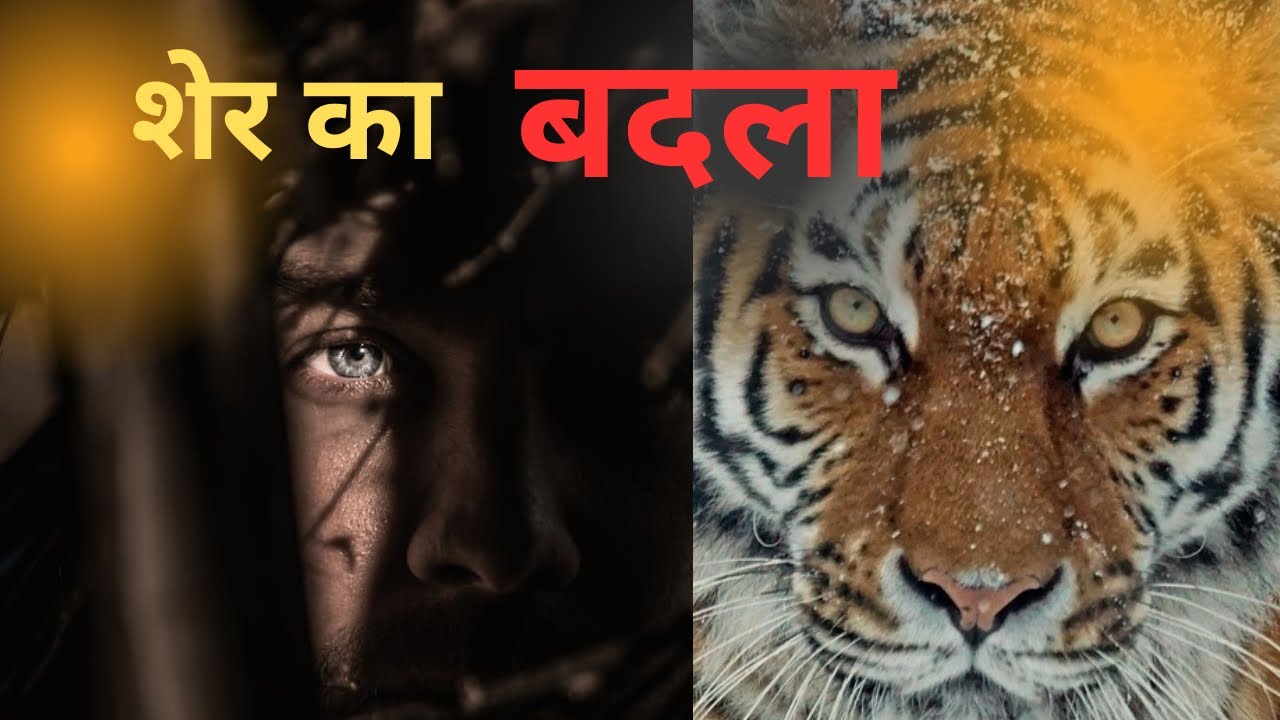 शेर का बदला (TIGER’S REVENGE) ॥ एक शेर ने कैसे अपना बदला एक इंसान से लिया ॥ बहुत ही खतरनाक (STORY)