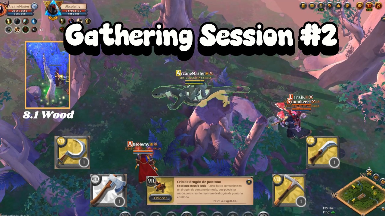 Gathering Session OpenWorld #2 || Finally got T8 Axe || Got Jumped by group of gankers || No voice.