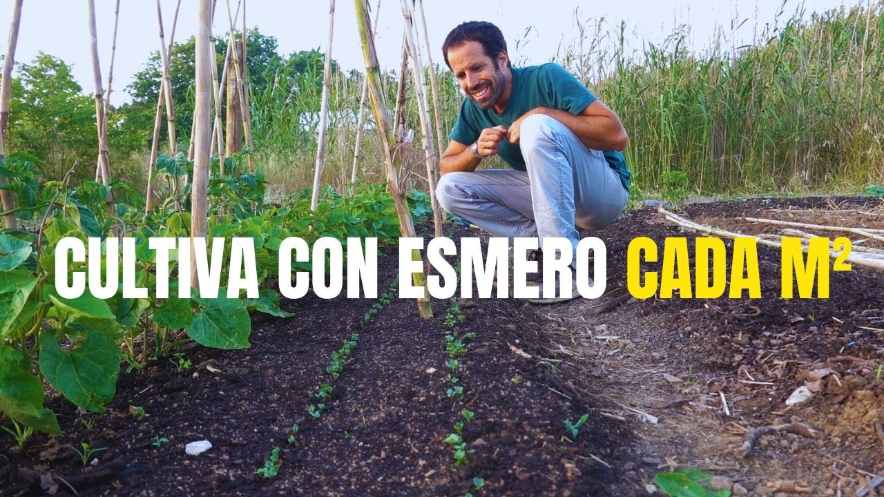 Cultivando con esmero cada m²