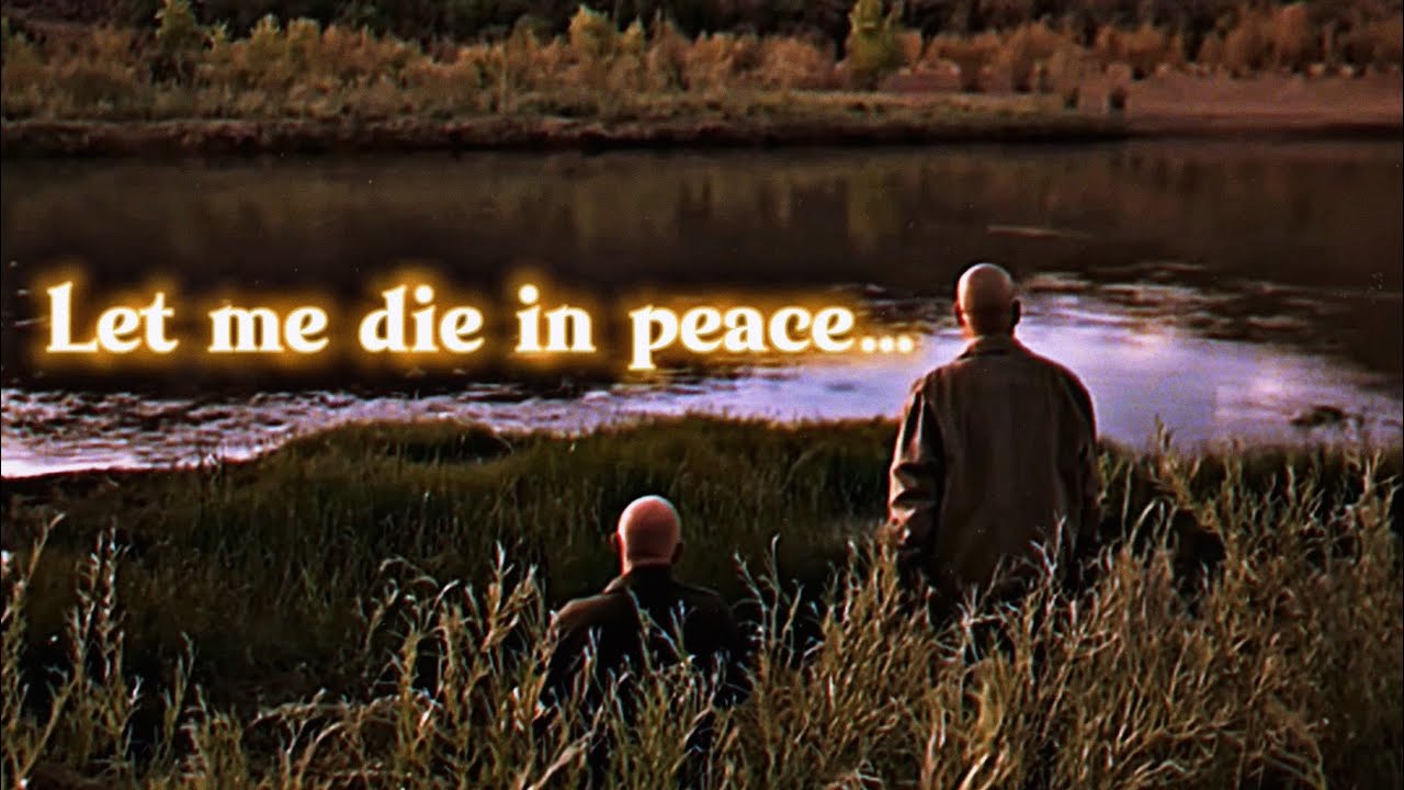 &ldquo;Let me die in peace&hellip;&rdquo; (Breaking Bad sad edit)