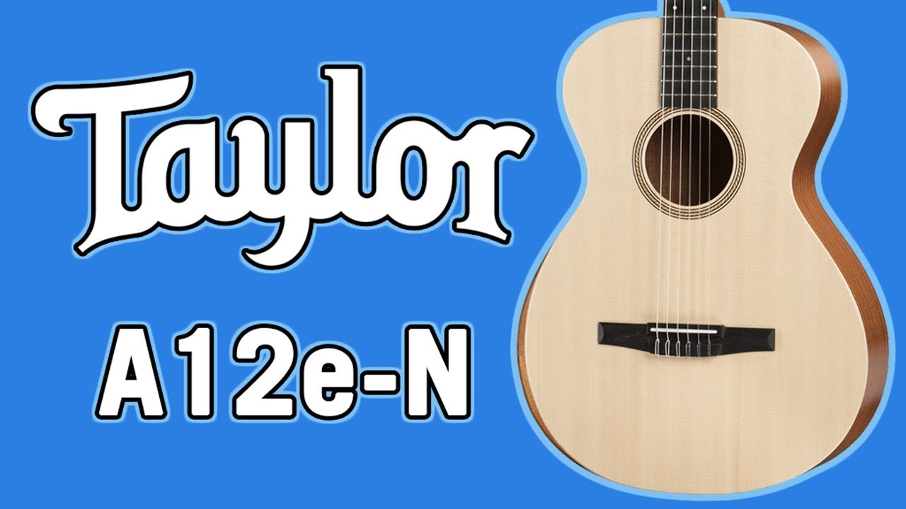Обзор и демонстрация Taylor Academy 12e-N