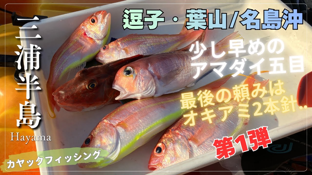 [逗子・葉山] 第１弾 少し早めのアマダイ五目 最後の頼みはオキアミ２本針.. #カヤックフィッシン
