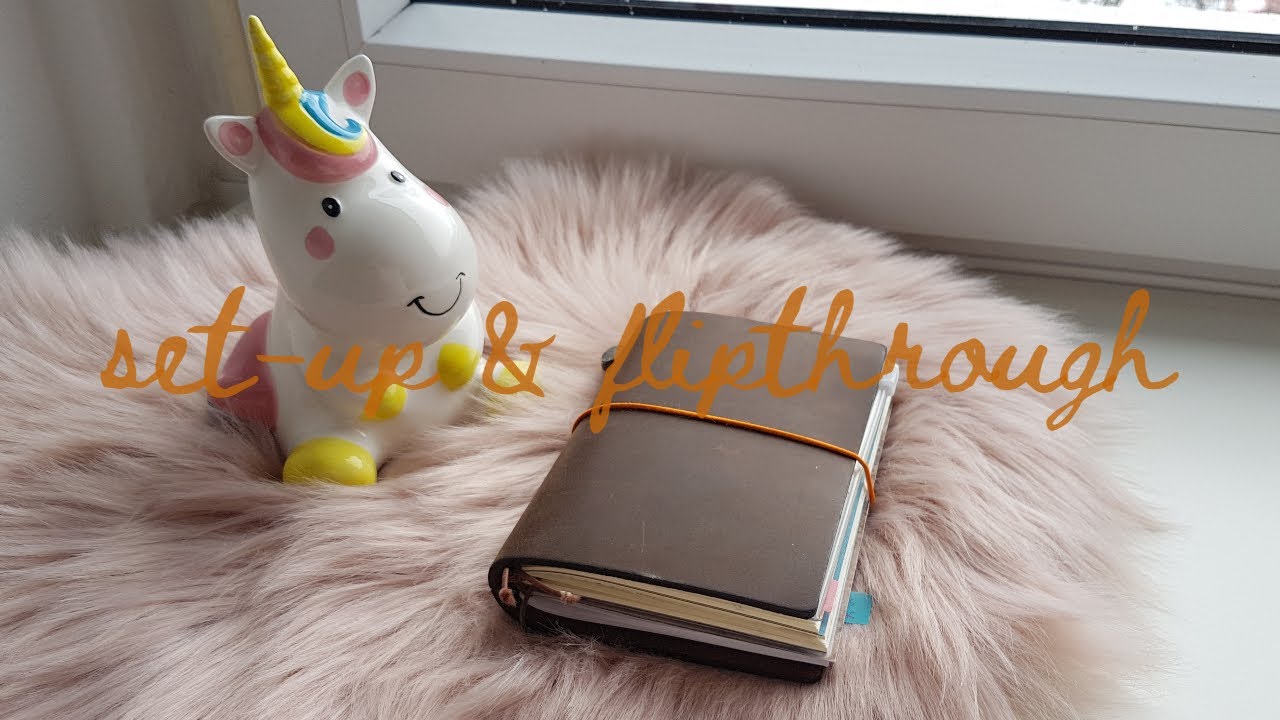 tn passport set-up & flipthrough