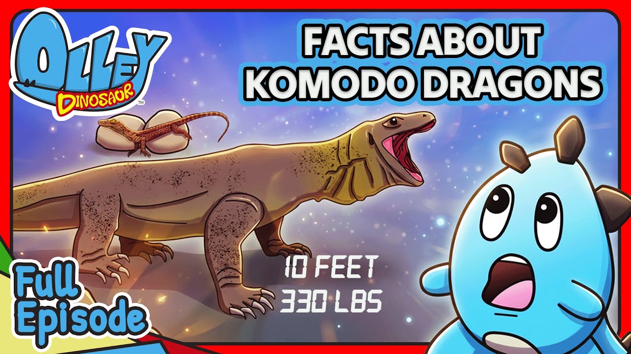 KOMODO DRAGONS - Largest Lizard Alive! | Olley Dinosaur | Kids Educational Show + Songs