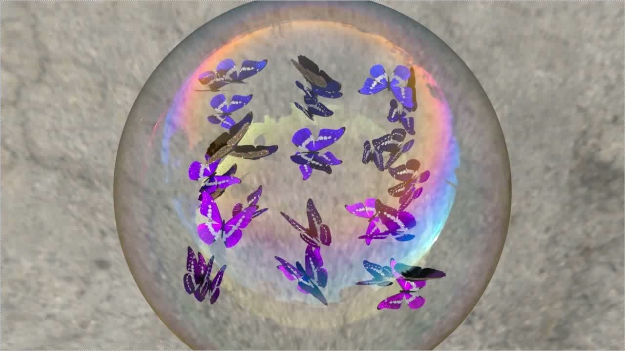 上から見たシャボン玉内のモルフォ蝶(lot_01) ／ Morpho butterflies inside a soap bubble seen from above