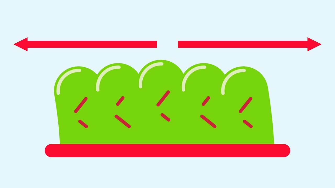 Jiggle like Jello - Adobe After Effects tutorial