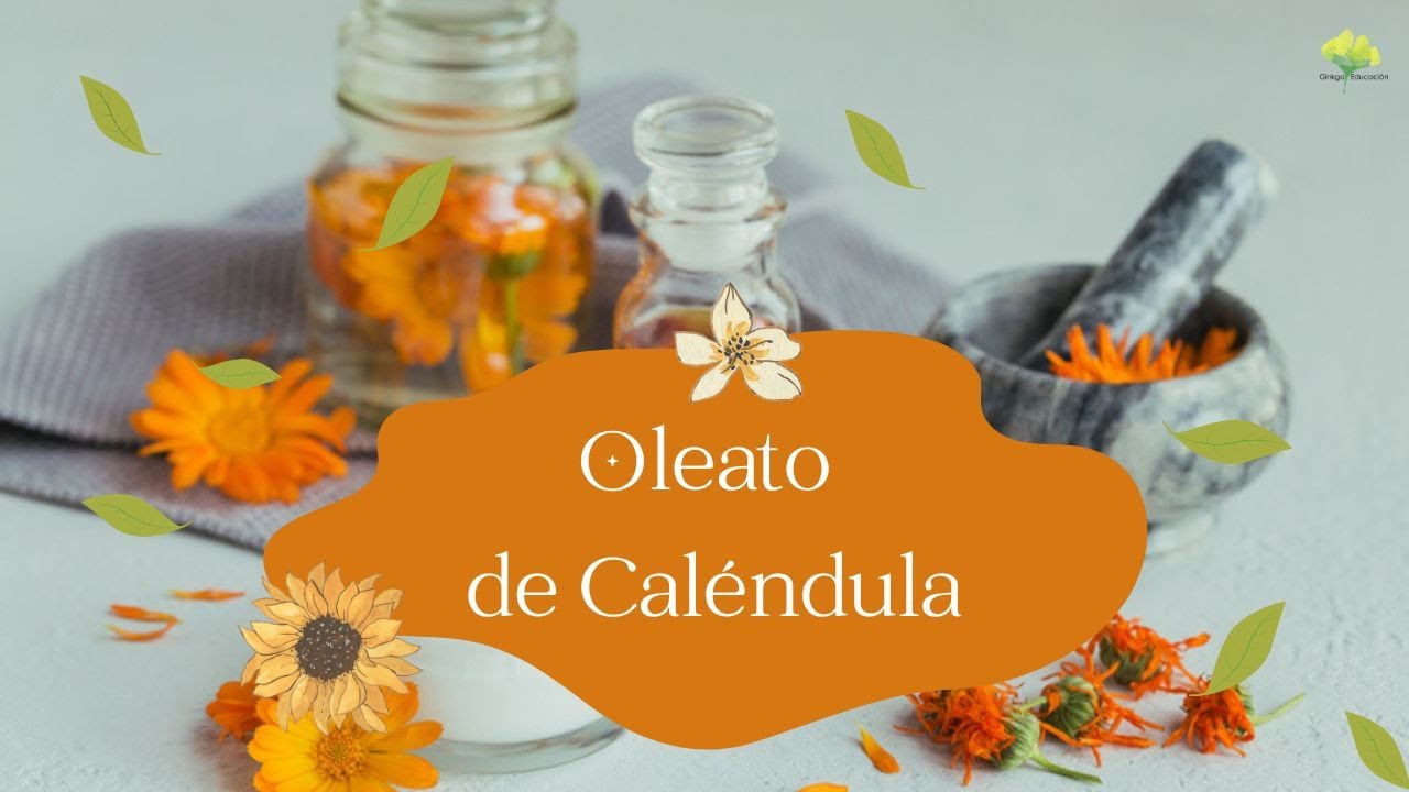 ¡aprende A Hacer Tu Propio Oleato De Caléndula!