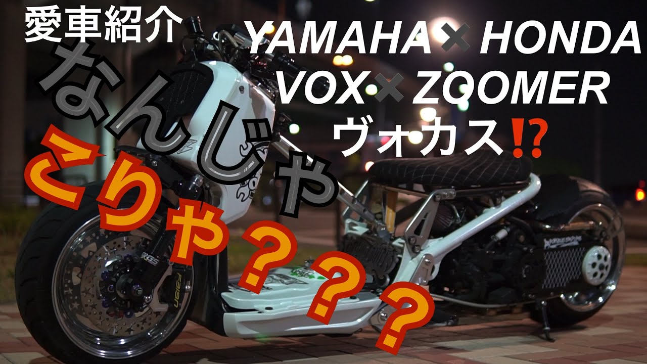 zoomerじゃないの❓なんじゃこりゃ〜❓ヴォカスです❓(ズーマー✖️ボックス)愛車紹介