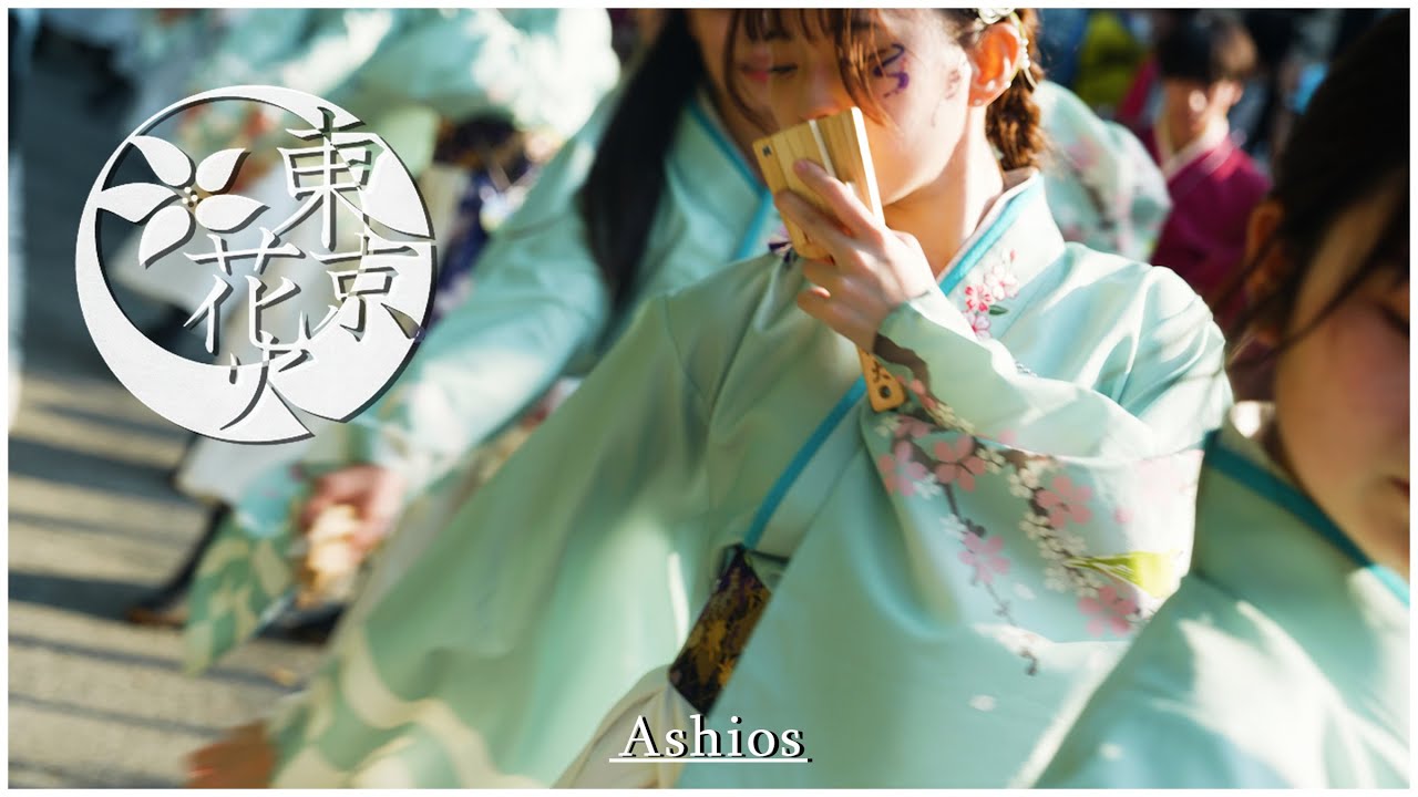 【4K】早稲田大学東京花火 2022 「うらら」  [原宿表参道元氣祭 スーパーよさこい2022 NHK前ストリート] Tokyo Hanabi 2022 ''Urara''