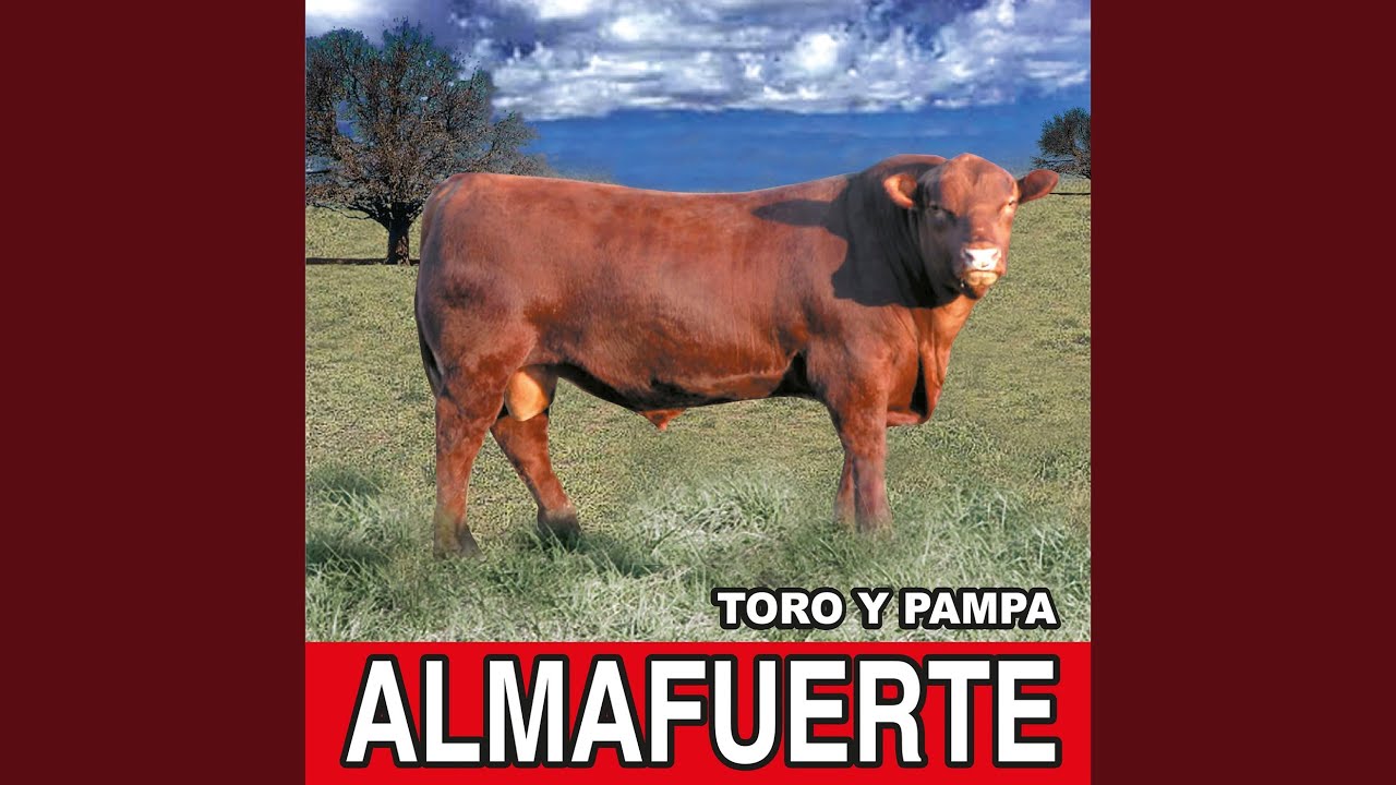 De la Escuelita