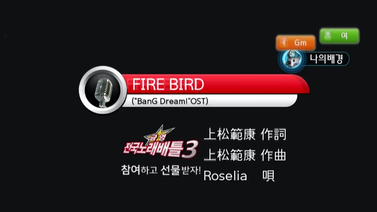 Keumyoung(금영엔터테인먼트)カラオケ  FIRE BIRD (