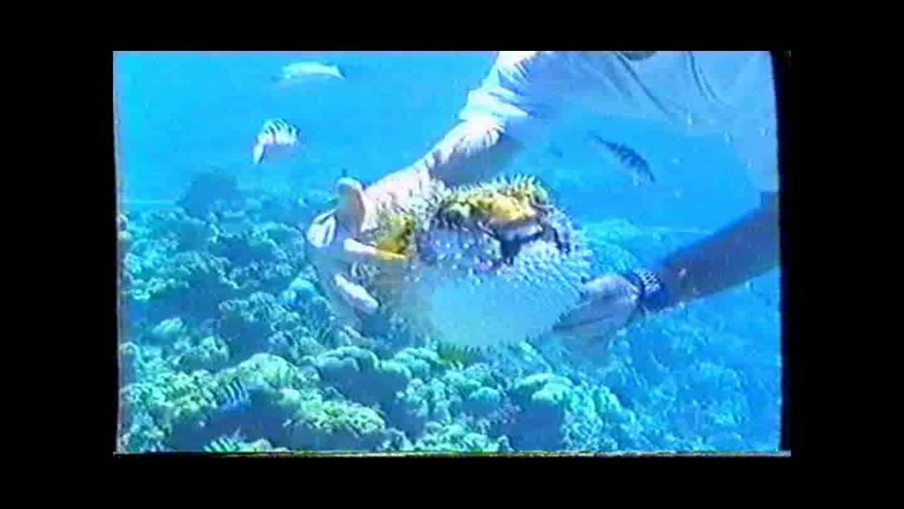 UW 2