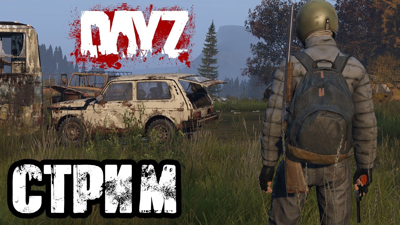 DAYZ | АТМОСФЕРНОЕ ВЫЖИВАНИЕ В СОЛО! VK PLAY, ССЫЛКА В ОПИСАНИИ, ПОДПИШИСЬ!