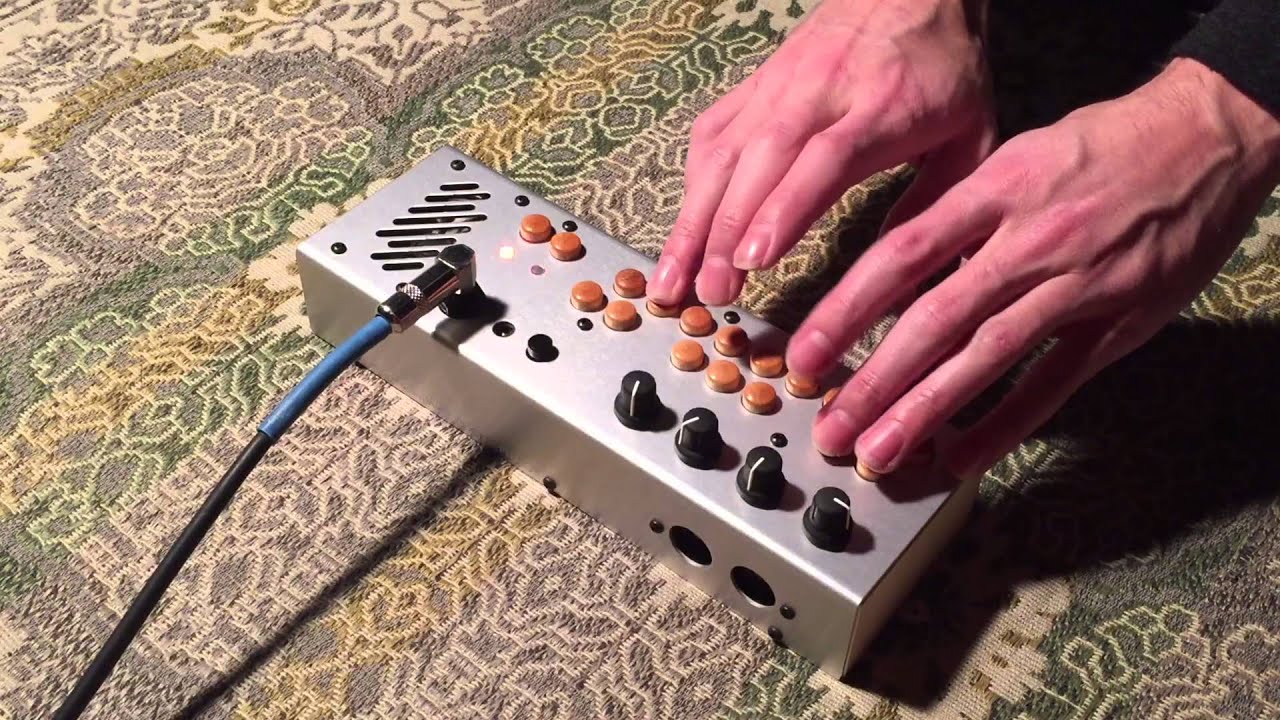 Critter & Guitari demo
