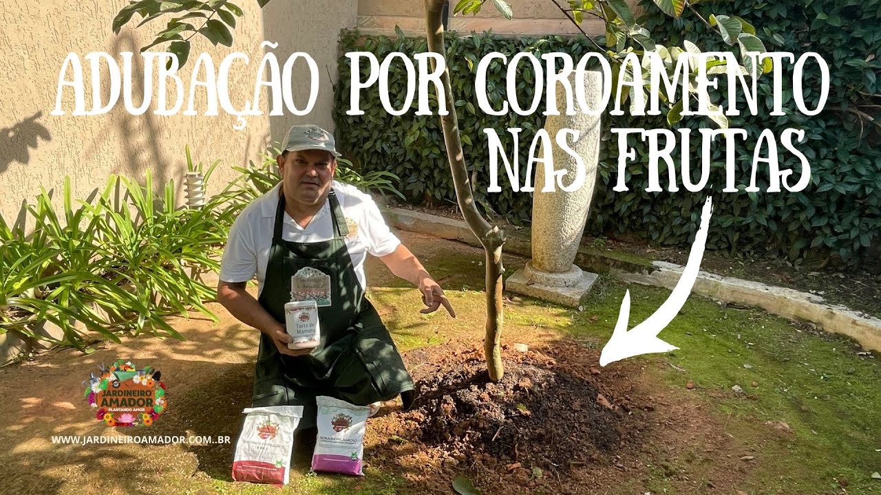 Como fazer coroamento de adubação em árvores frutíferas