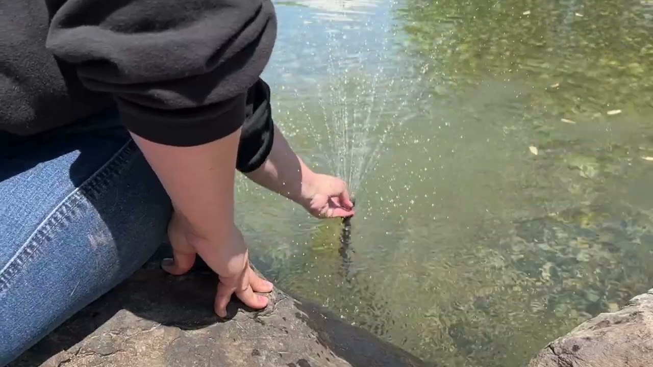 POPOSOAP 20W Solar Water Fountain Pump Review.