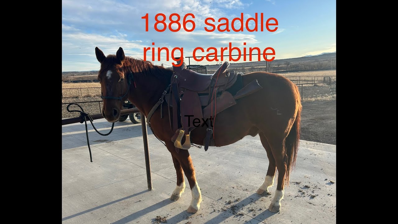 1886 browning 45 70 saddle ring carbine 100 yard accuracy test