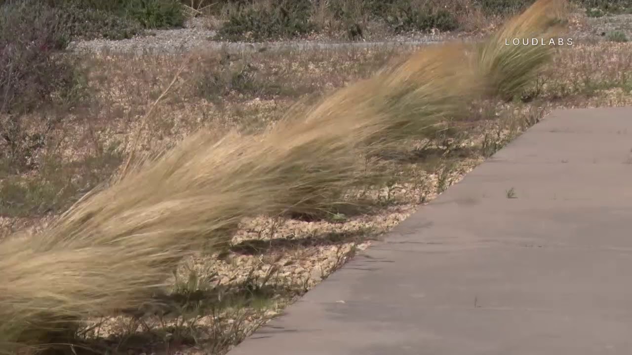 High Desert Winds / Apple Valley  5.19.19