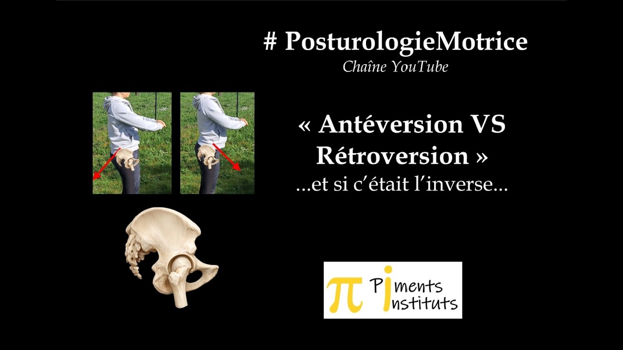 Rétroversion VS Antéversion du bassin
