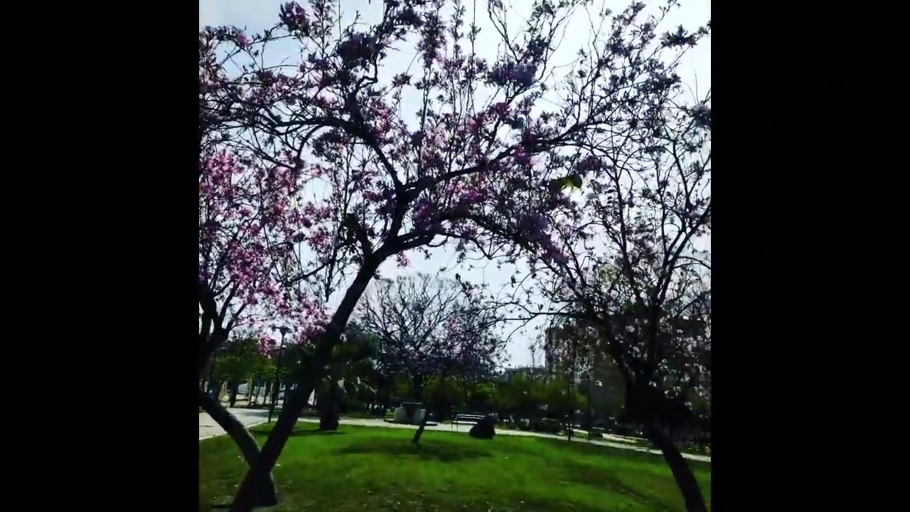 Parque de Huelin)