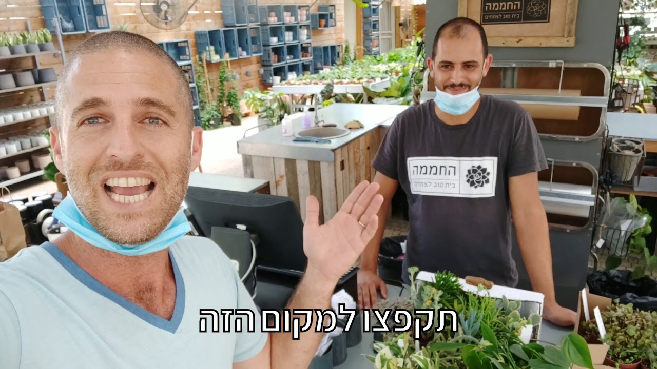 משתלה מיוחדת שכל חובבן סוקולנטים חייב להכיר ולבקר בדחיפות!
