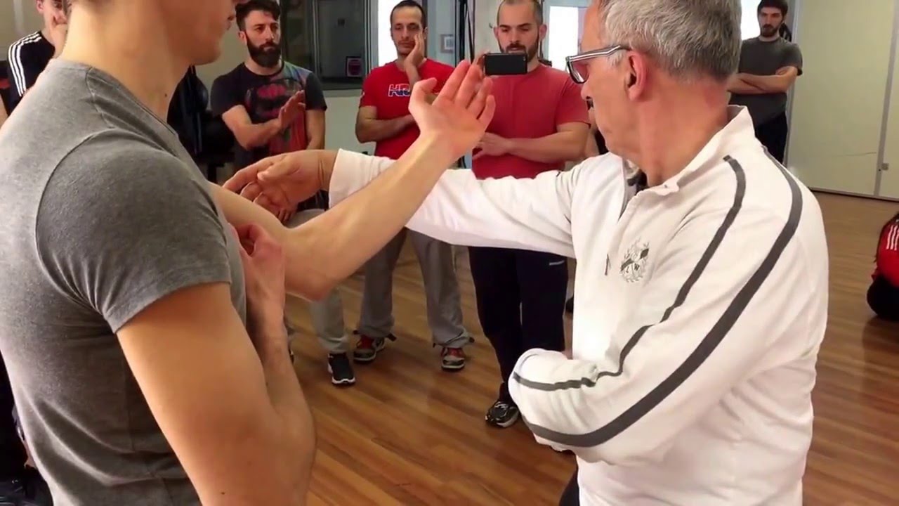 Stage Instructor March 2016 Franco Regalzi Wing Chun The King of Body Speaking