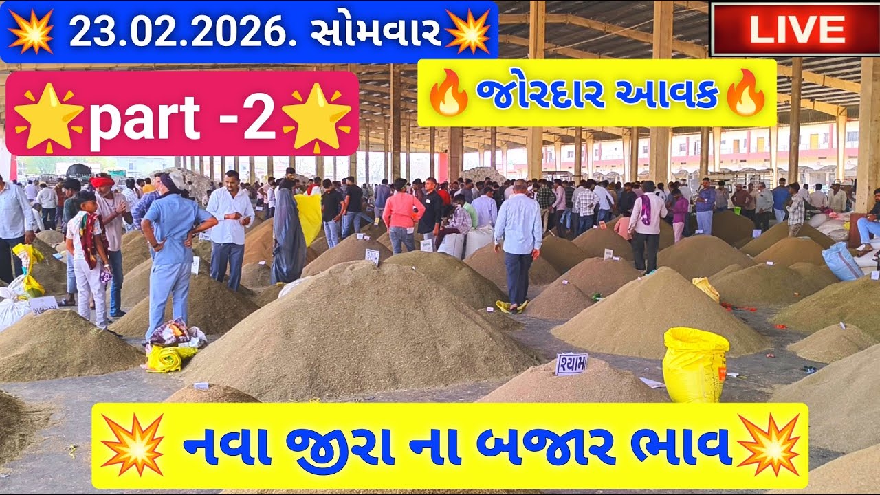 🔴 part -2 Live new cumin auction price today,February 23, 2026
