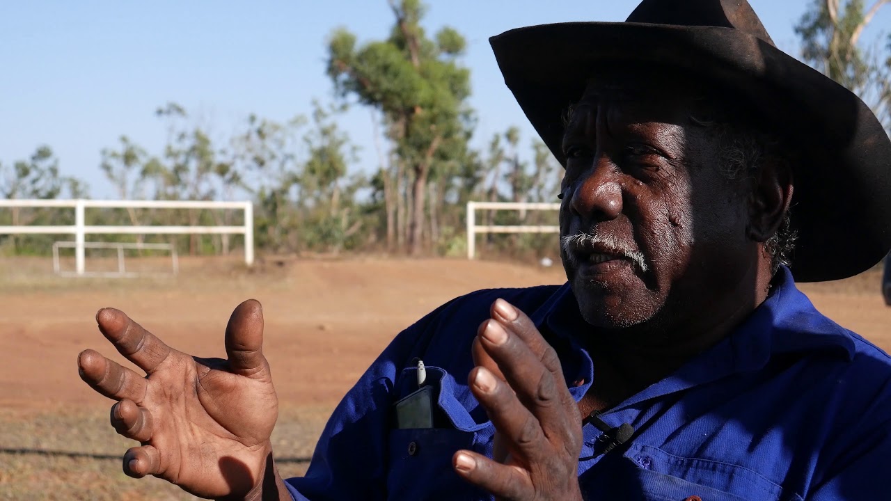 The Dire State of Native Bees in Northern Australia