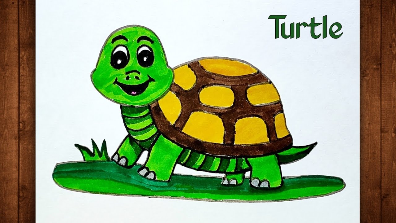 Turtle Drawing / How To Draw Tortoise / Tortoise Drawing Colour