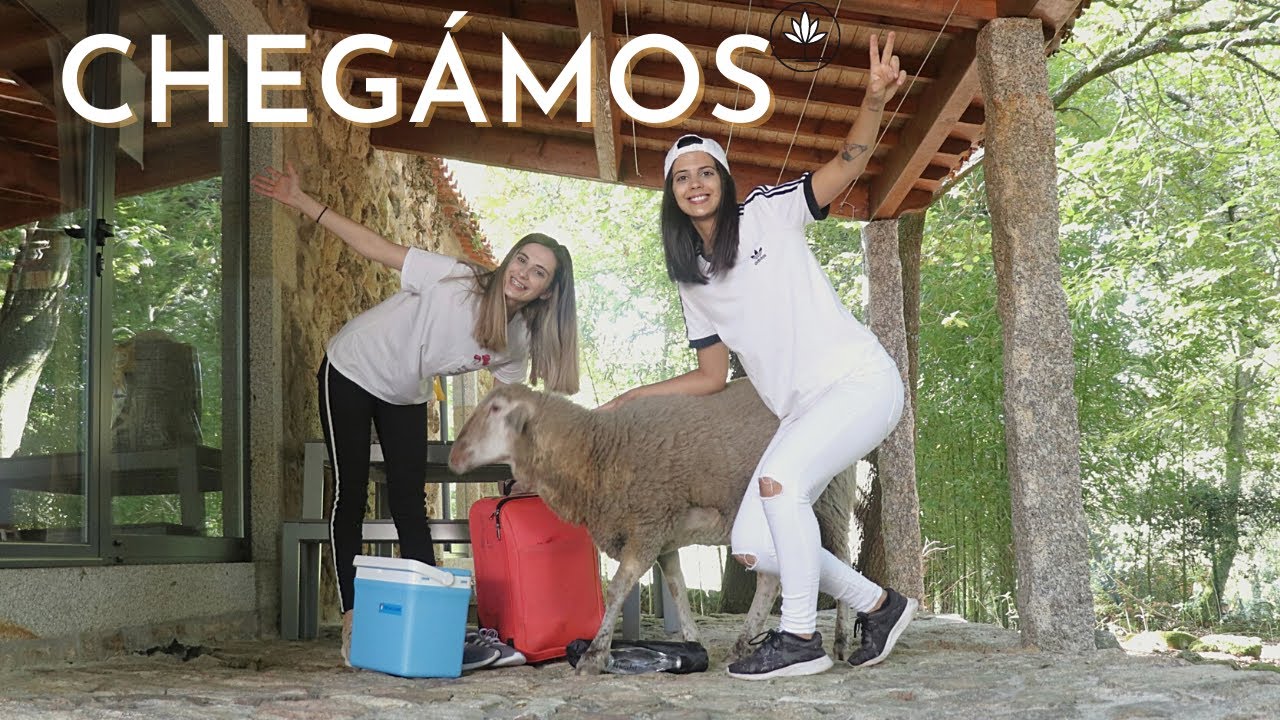 QUINTA das ÁGUIAS | TURISMO RURAL em PORTUGAL | #1 FÉRIAS 2020 | Marcenita