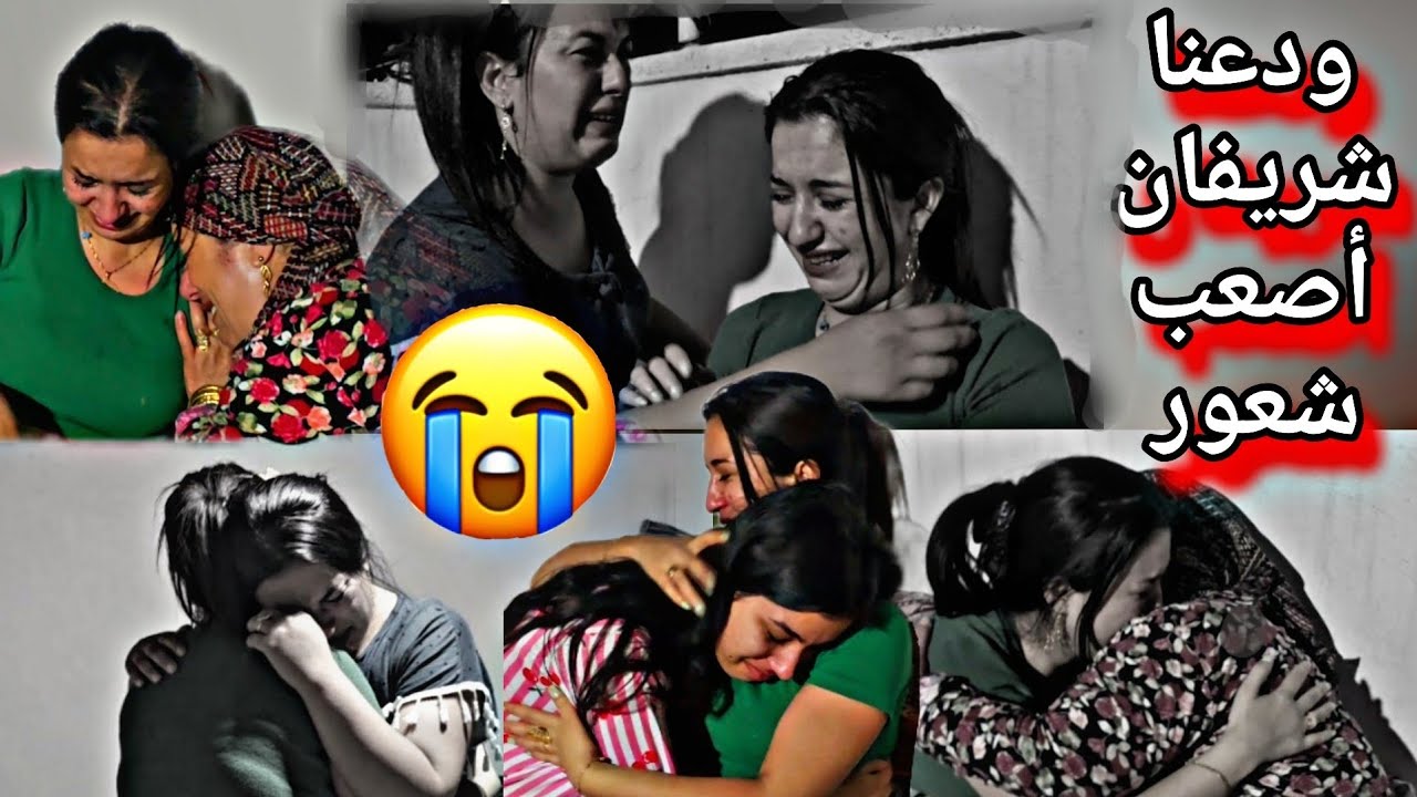 ودع شريفان موثر رح نفترق أصعب شعور😭💔