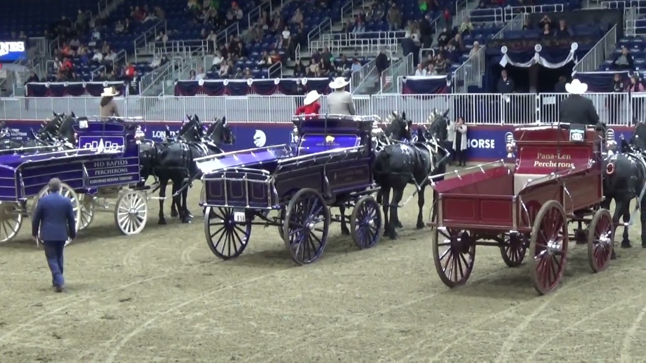 Percheron Two Horse Htich at The Royal 2022