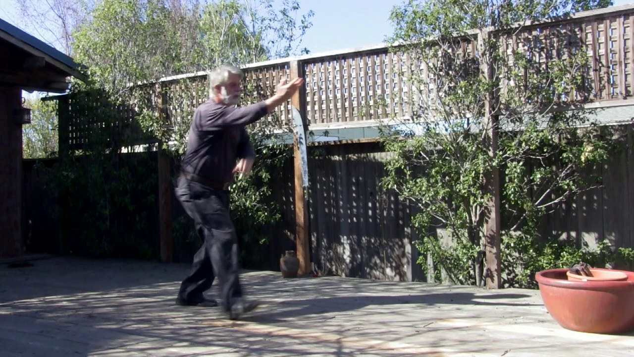 From Basics to Mastery: Jibengong, and the Bear Palm Gong in Bagua Zhang