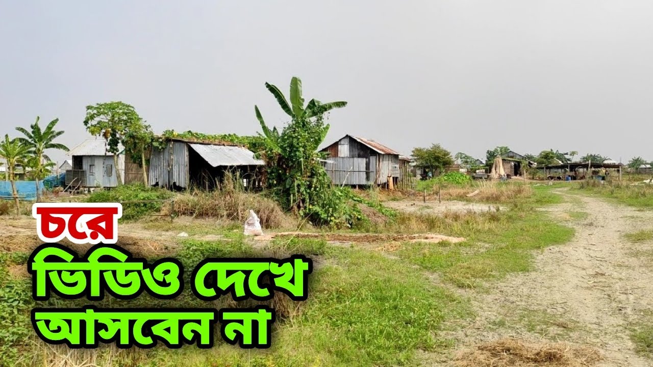 চরে ভিডিও দেখে যাবেন না সাবধান   || Rural life