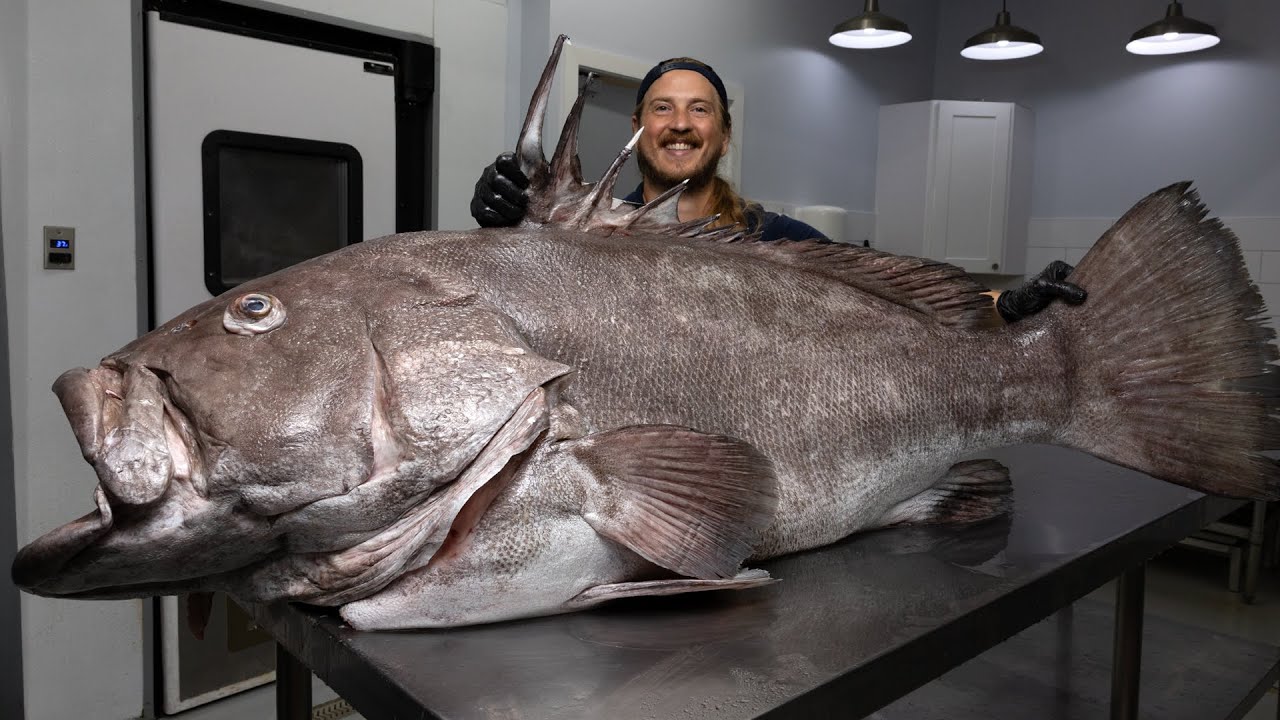 The Largest Legal Grouper