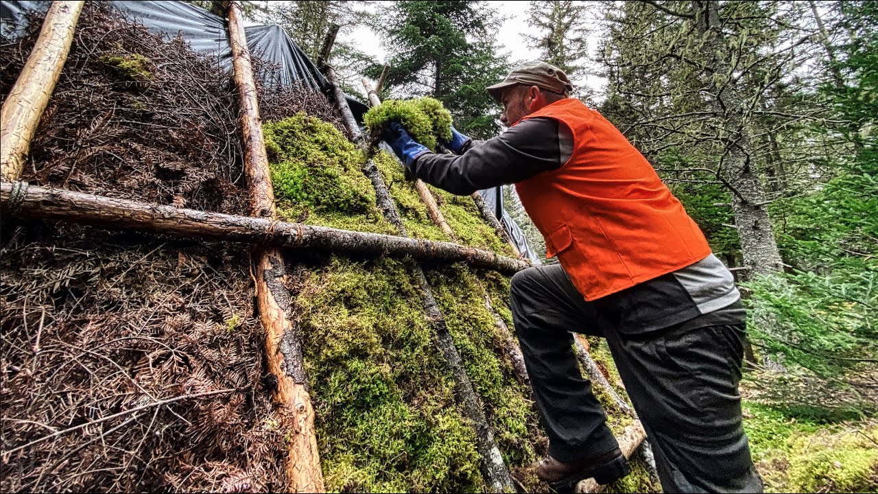 My Favorite Natural Insulation   Starting the Mossing Up of the Shelter