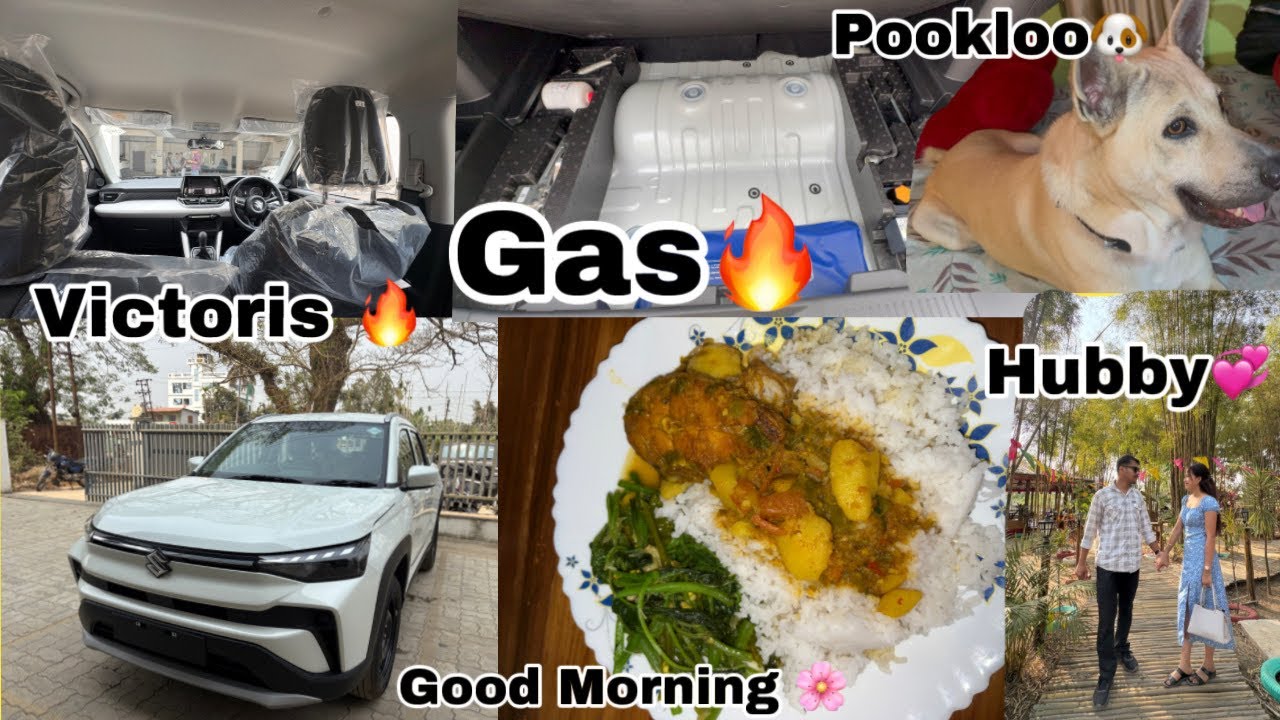 Ani Bwsai Tamo Job khy norok ni Question ni ANS  Rwkha 🤗|| Victoris VXI CNG 🔥|| @shelidailyvlog 