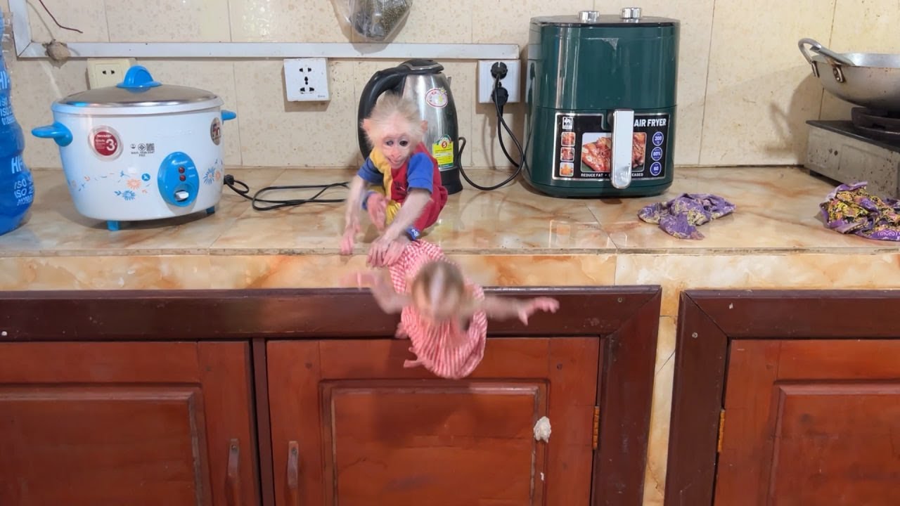 Chamroeun Xtremely Shocked And Screaminq When Luna Jump Down Like This