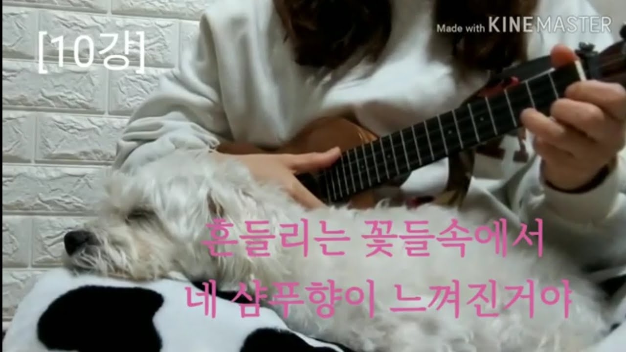 흔들리는 꽃들속에서 네 샴푸향이 느껴진거야 우쿨렐레 10강 / 16비트