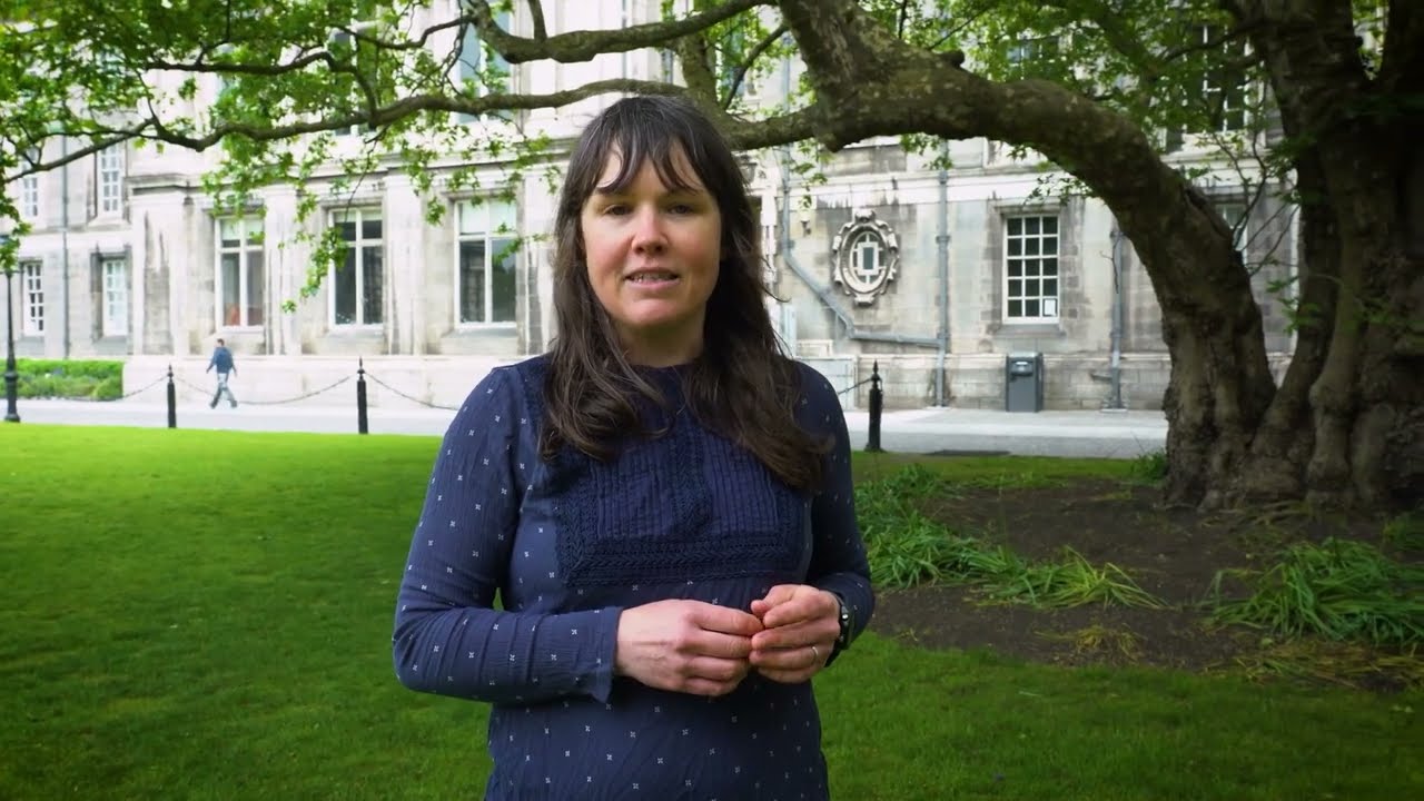 'The Psychology of the Climate Crisis' Trinity Elective