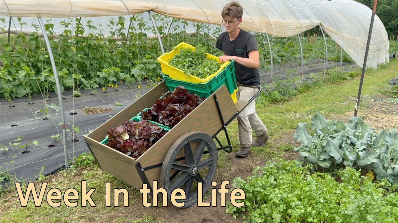 Week in the Life of a Farming Family Week 3 of 14