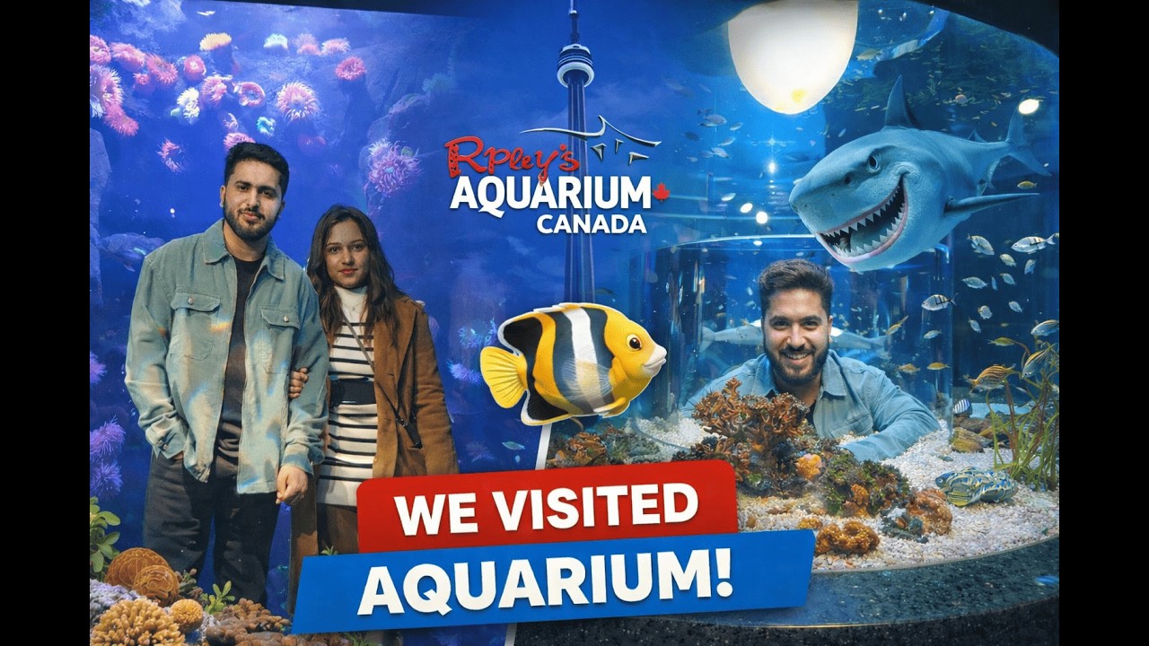 We Spent Valentine’s Day Underwater 😱🐠❤️