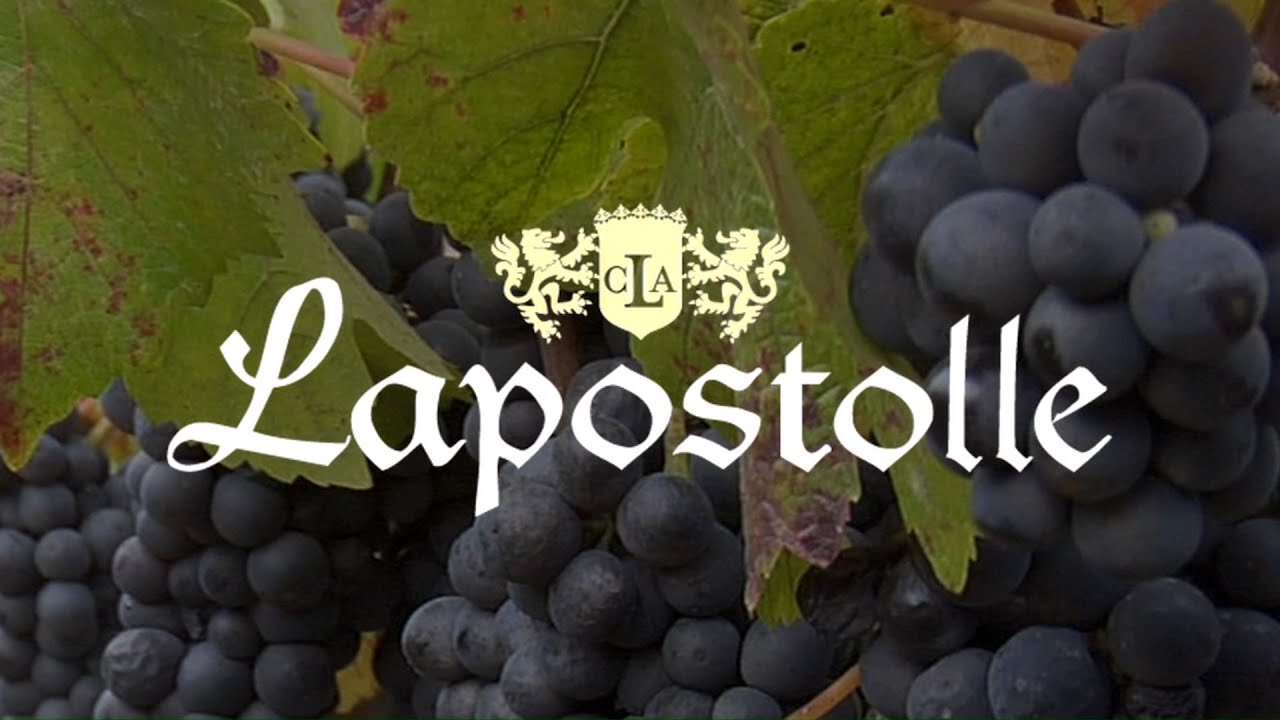 Lapostolle Corporate Video, 2012 - English