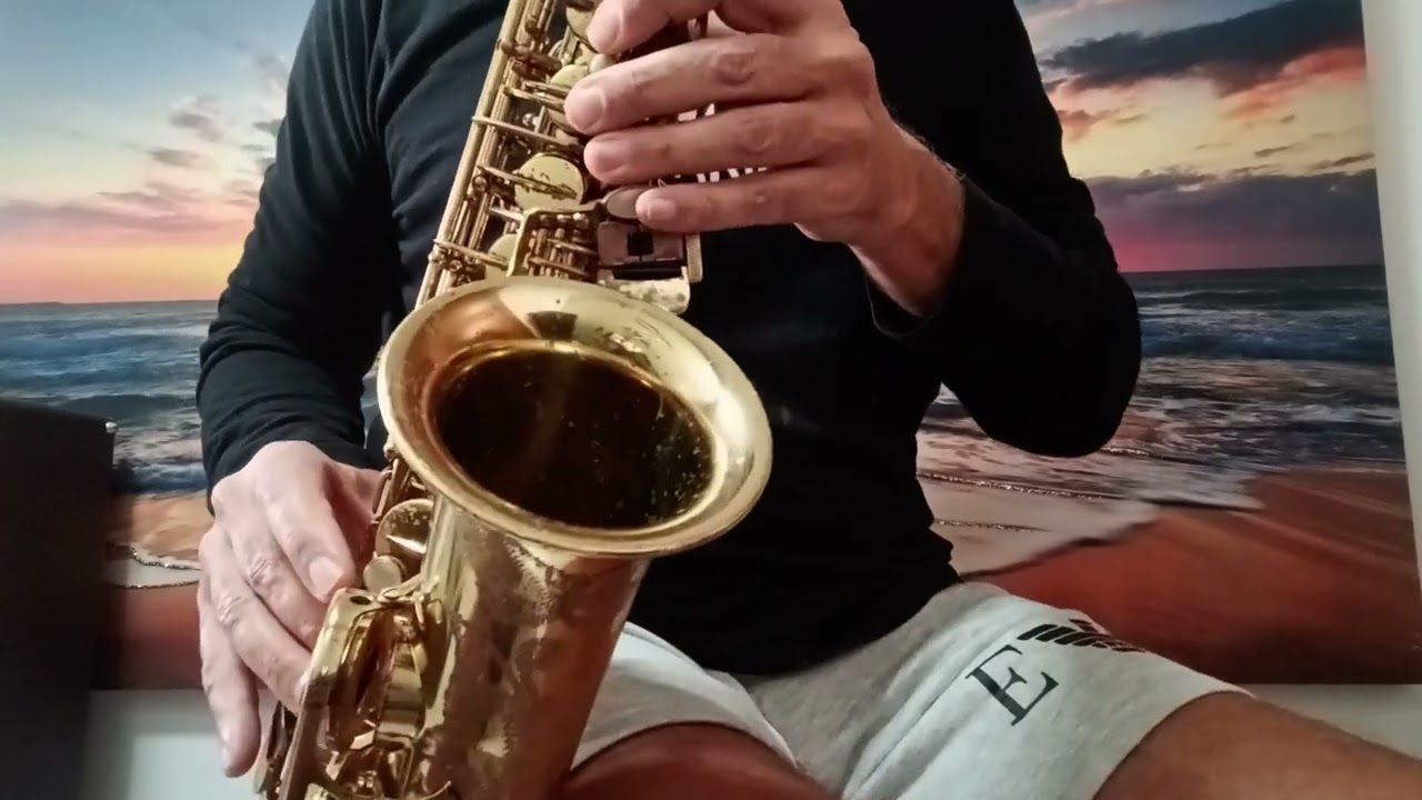 Altoselmer3939XX