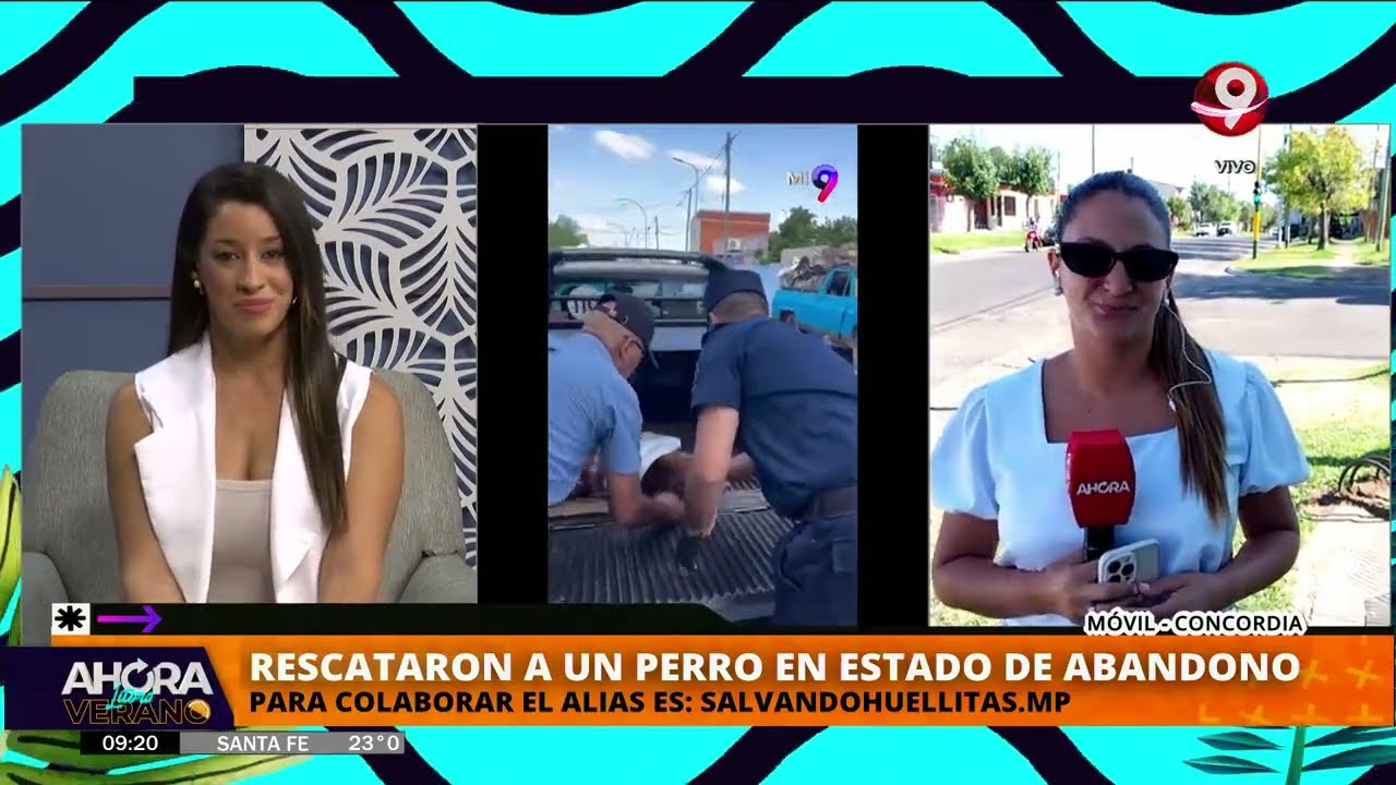Rescataron un perro en estado de abandono en Concordia