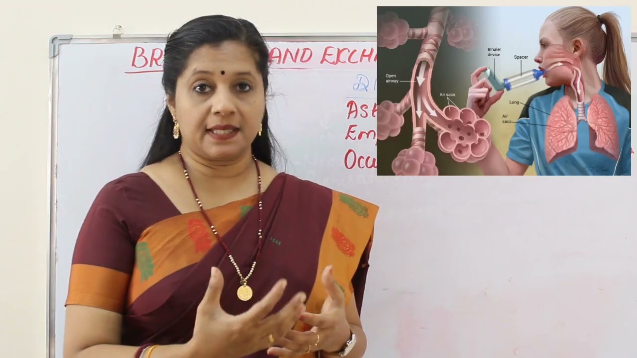 NEET: Breathing and Exchange of Gases: Part5: Regulation of respiration, disorders.