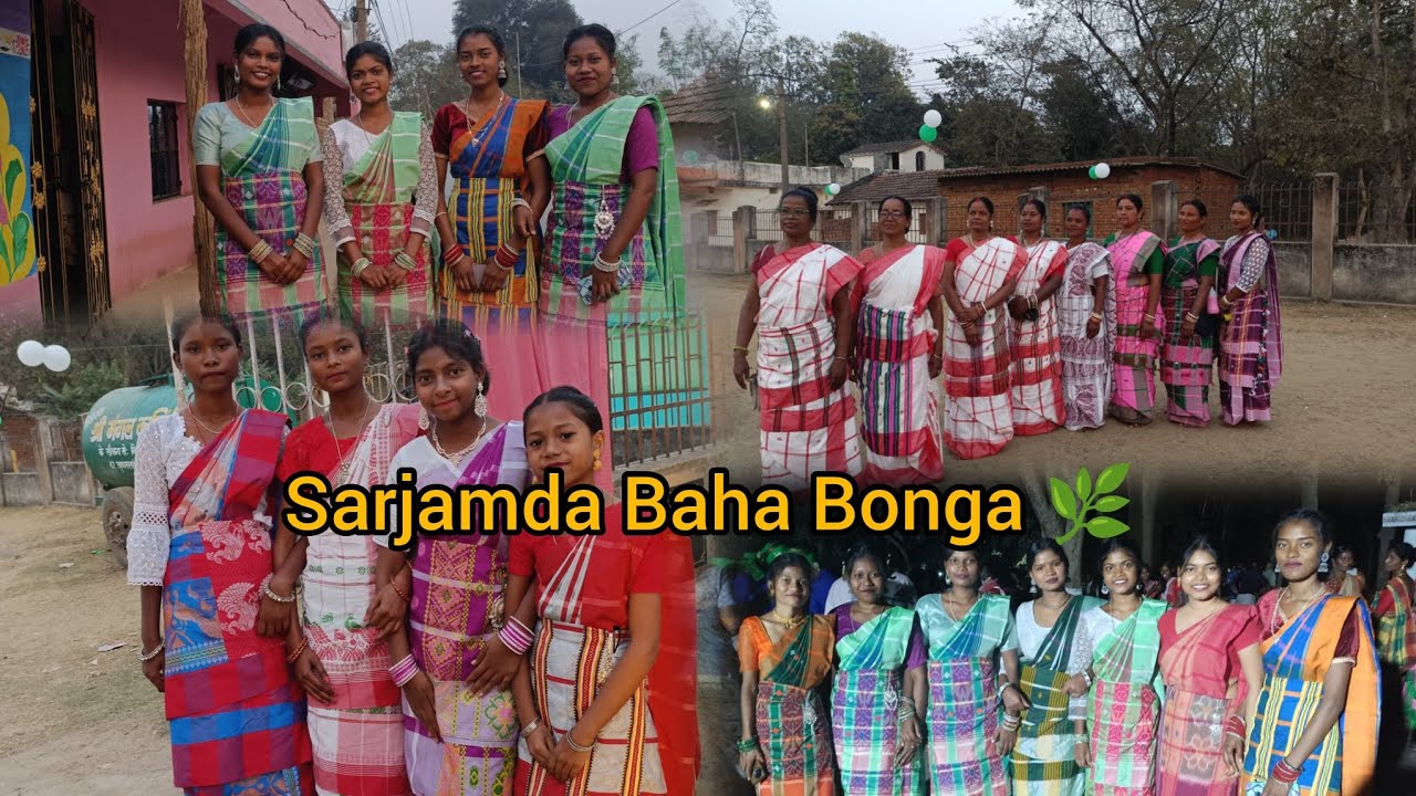 Sarjamda Baha Bonga 🌿 22/02/26@sarojinimurmu9471 #santhalivlogs 