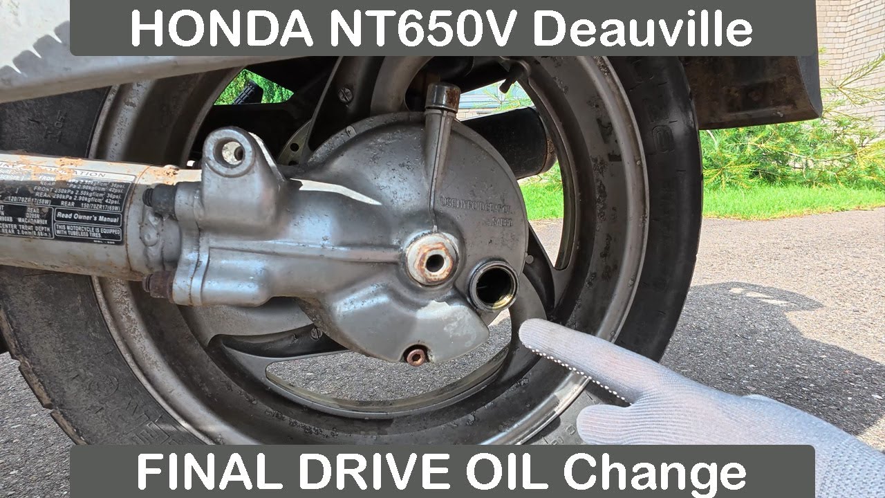 How to Check and Change FINAL DRIVE OIL on Honda NT650V Deauville Motorcycle
