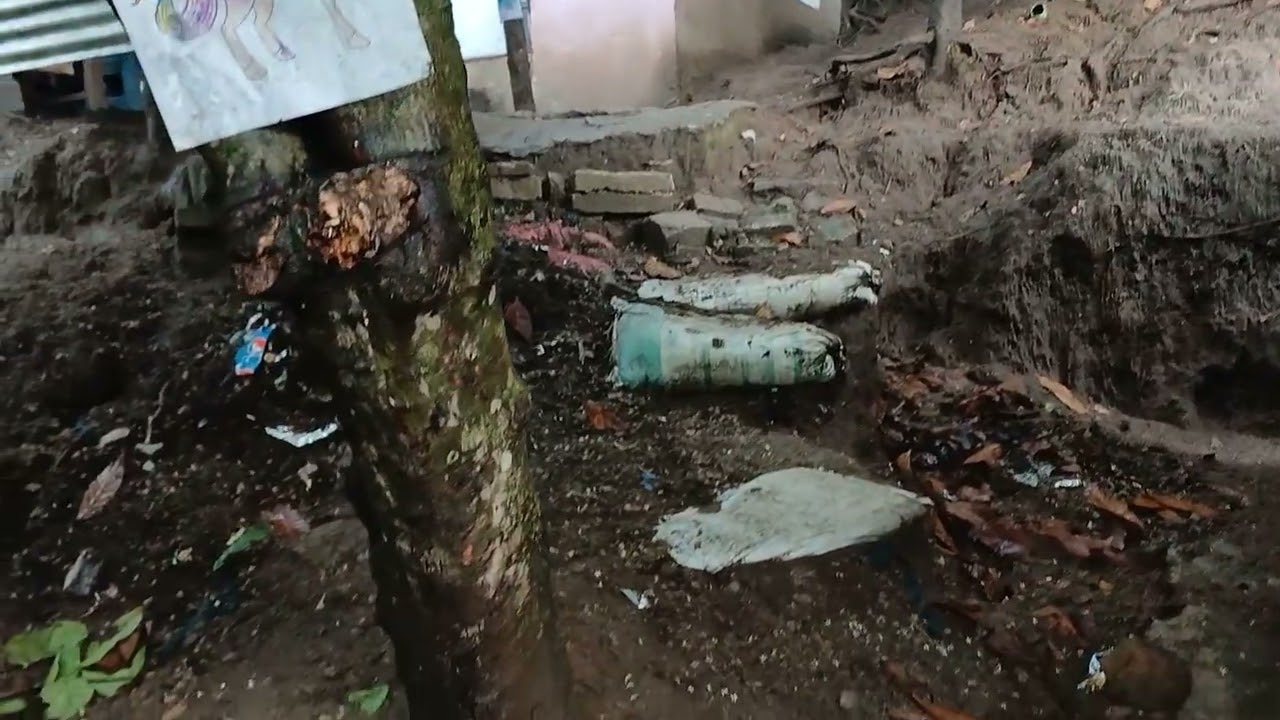 Vean como quedo el terreno de don chico por la lluvia